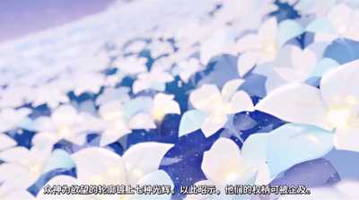 代号盒帝