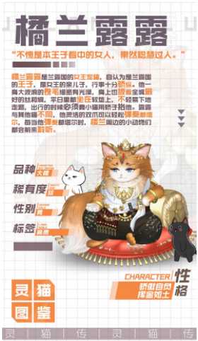 灵猫传金柯玉叶