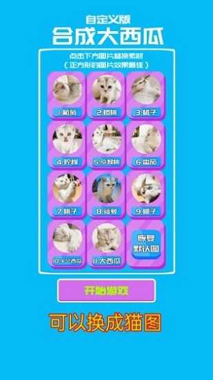 合成大西瓜自定义手机版