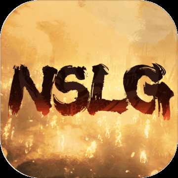 代号NSLG