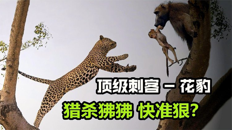 猎杀恶魔熔炉攻略_猎杀恶魔熔炉图文攻略_猎杀恶魔熔炉下载